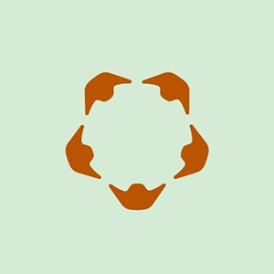 Humanity Protocol logo