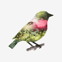 Robin Markets logo